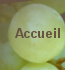 Acceuil